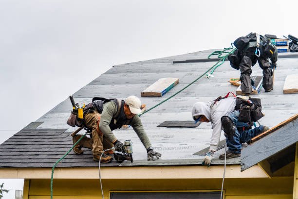 Home Renovation Specialists