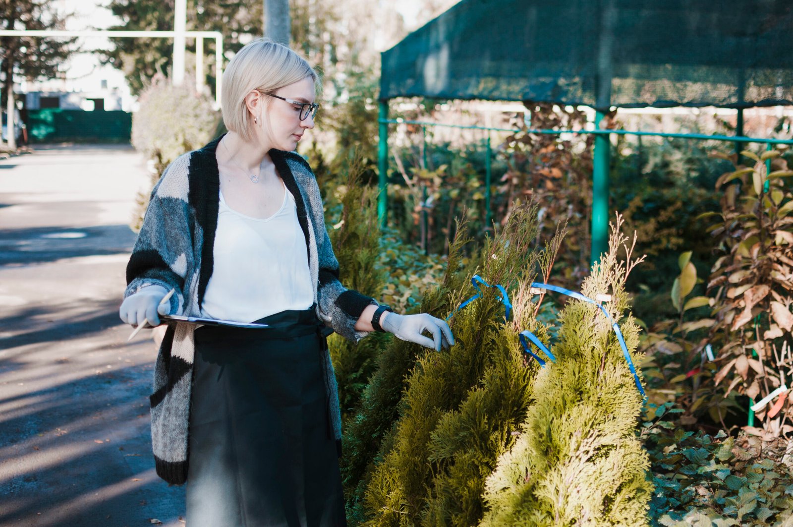Local Tree Care Specialists Serving Granite Bay with Precision