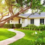 Residential and Commercial Tree Trimming in Granite Bay