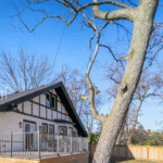 Best Local Tree Care Specialists in Roseville