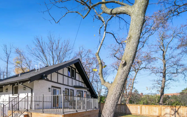 Best Local Tree Care Specialists in Roseville