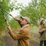 Expert Tree Trimming Services in Folsom